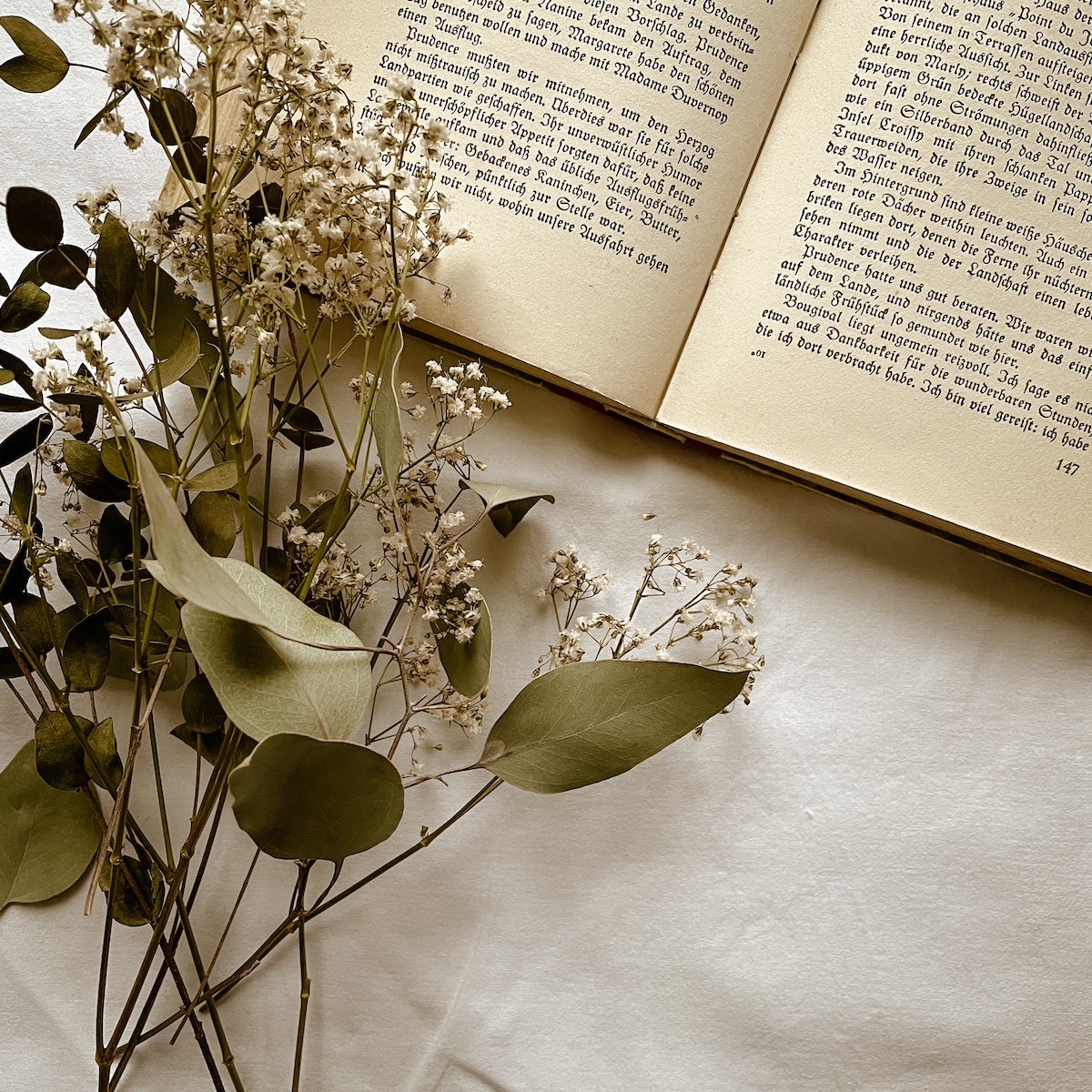 book formatting in microsoft word